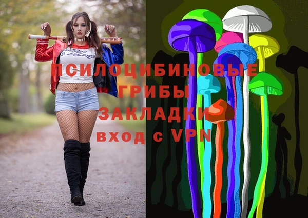 мдма Богородск