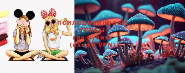 мдма Богородск